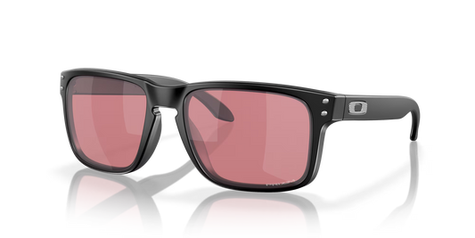 Oakley Holbrook