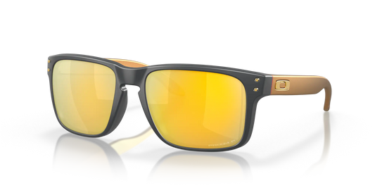 Oakley Holbrook