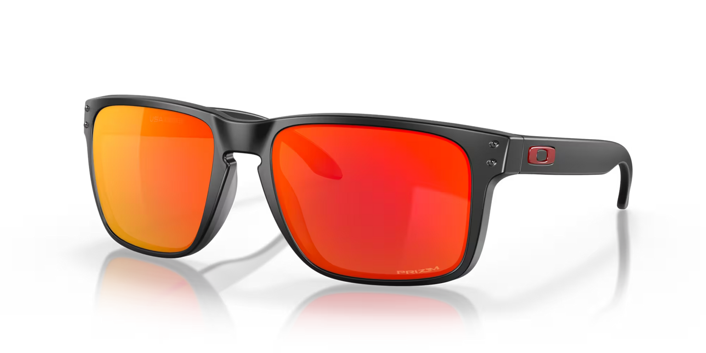 Oakley Holbrook XL